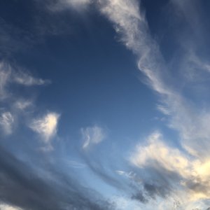 一之濑桃在线无码毛片
